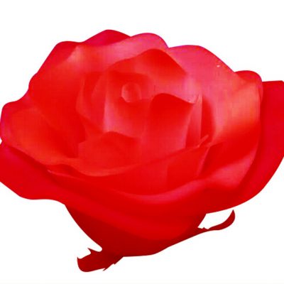 玫瑰花手板