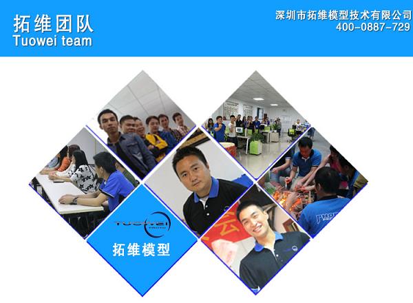 公司团队