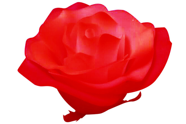 玫瑰花手板