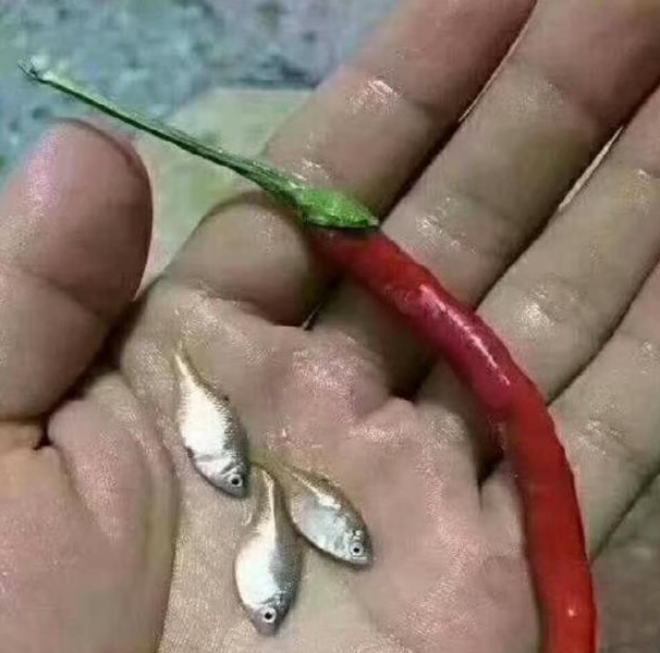手板厂报价
